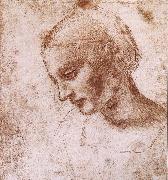LEONARDO da Vinci Study fur a women head oil painting artist
